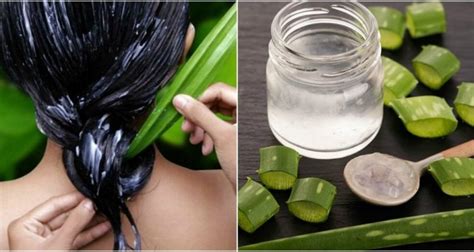 Beneficios Del Aloe Vera En El Cabello Aloe Vera