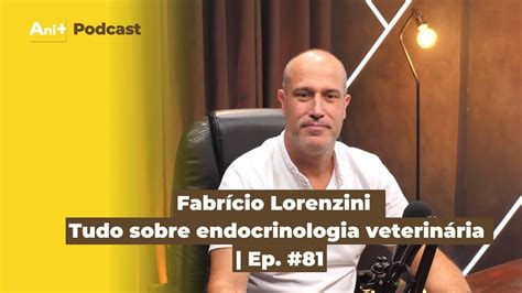 Ani podcast 81 Tudo sobre Endocrinologia veterinária YouTube