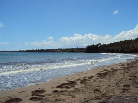 Plage De Sainte Claire Goyave Lo C Daridan Flickr