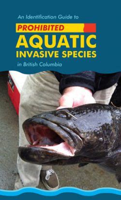 Invasive Species Identification Ssisc