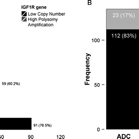 Frequencies Of IGF1R Gene Alteration And Protein Expression In