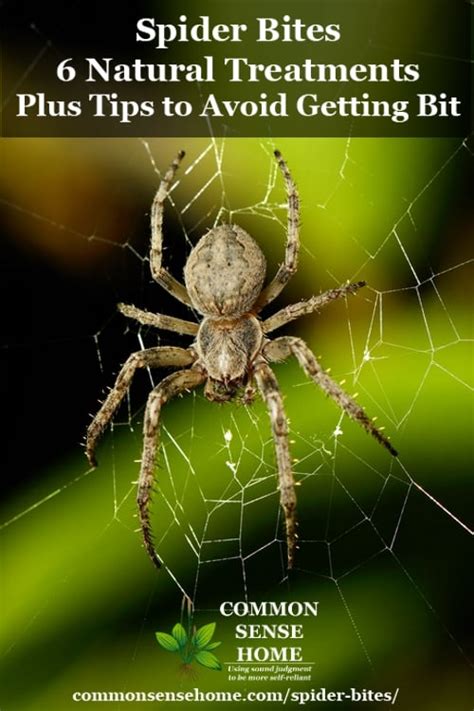 Spider Bites - 6 Natural Treatments + Tips to Avoid Getting Bit