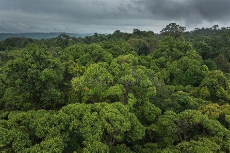 Landscape View of Dry Tropical Evergreen Forest,Thailand Stock Photo ...