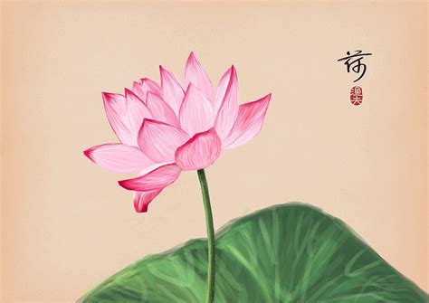 荷花纯艺术绘画leapwu 原创作品 站酷 Zcool