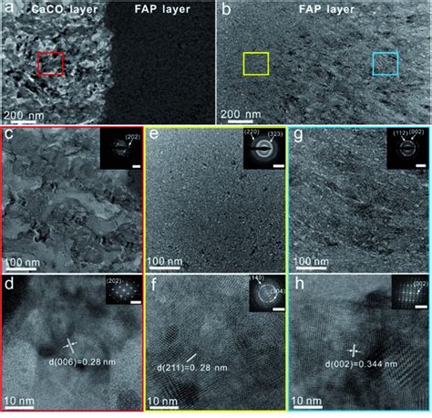 Internal Structure Of The Fapcaco3 Heterogeneous Structured