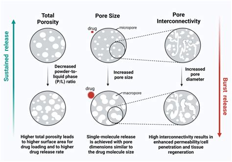 Schematic Illustration Presenting The Effect Of Porosity On The Drug