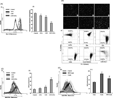 Figure From Synergistic Effects Of Fluorouracil And Gambogenic Acid