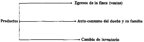 Ejemplos De Eficiencia Economica