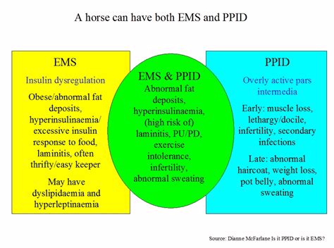 Laminitis Ems And Ppid The Laminitis Site