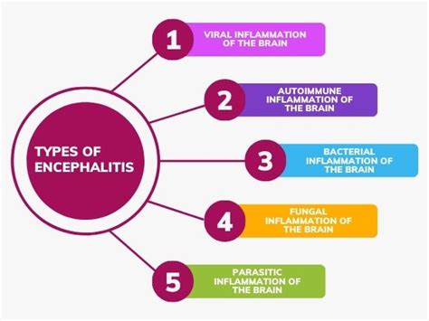 Encephalitis What It Is Causes Symptoms And Treatment Tv Health