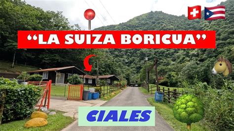 Driving Around Ciales Puerto Rico K La Suiza Boricua Youtube