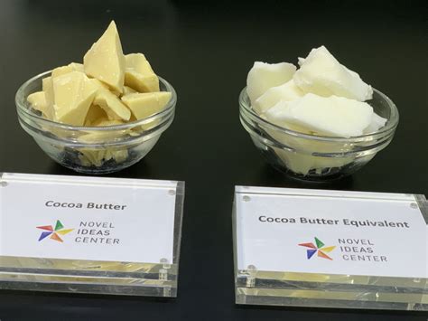 The Ideal Cocoa Butter Alternative For Chocolates Musim Mas