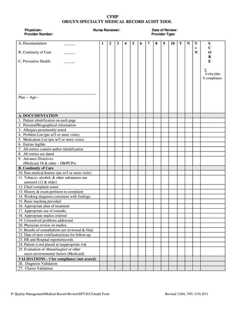 Medical Chart Audit Template