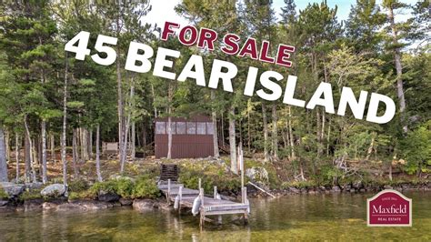 Lake Winnipesaukee Bear Island Cabin For Sale 45 Bear Is Meredith