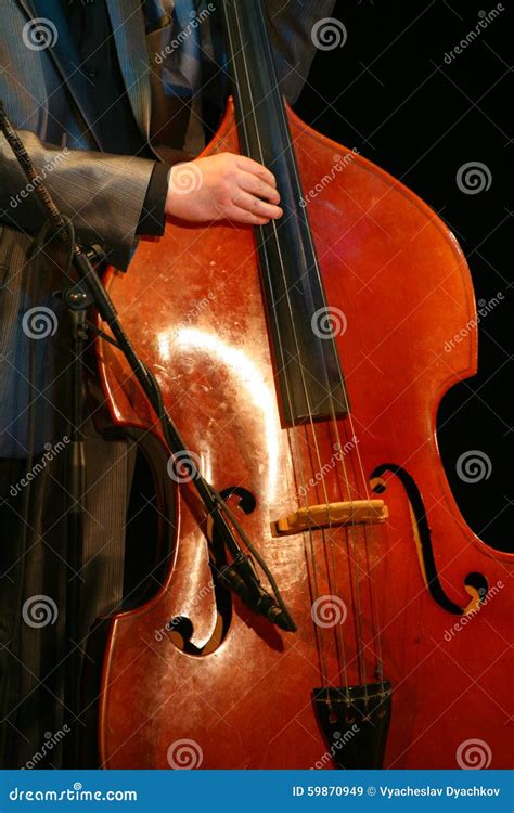 Acoustic Double Bass Player Classic Jazz Stock Image Image Of Fingers Club 59870949