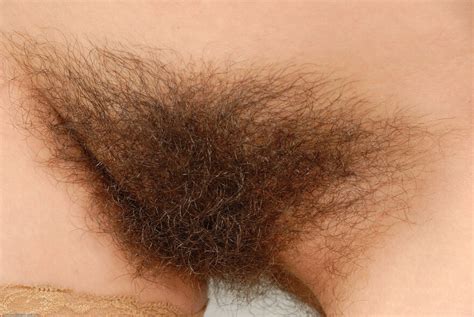 Vendula Gallery 850 Scary Hairy Ven012JAT 223764093 Porn Pic