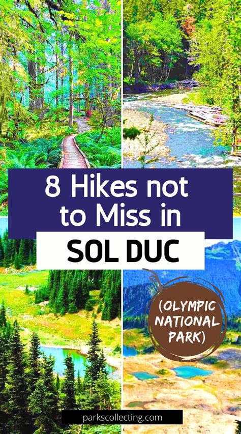 8 Hikes Not To Miss In Sol Duc Olympic National Park Olympic