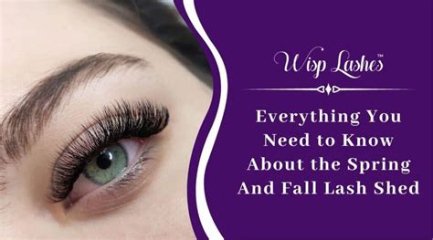 Everything You Need To Know About The Spring And Fall Lash Shed