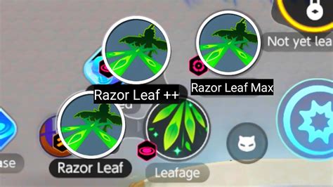 Decidueye Razor Leaf Users Instant Melt Your Enemies With This Build