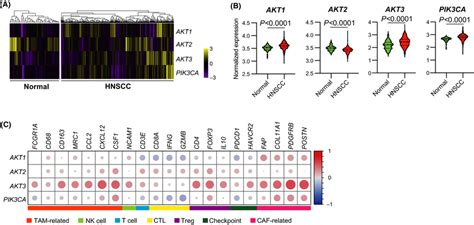 Mrna Expression Of Akt3 Correlates With The Immunosuppressive Tumor