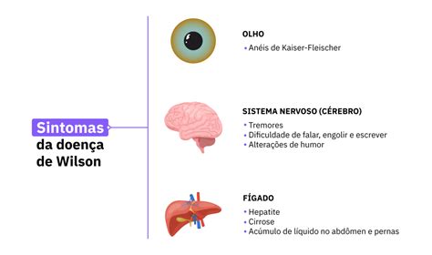 Doen A De Wilson Entenda A Condi O Teste Da Bochechinha