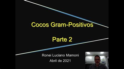 Cocos Gram Positivos Parte 2 YouTube