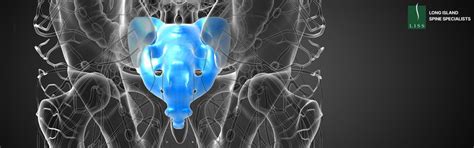 Sacral Spine Anatomy Function And Importance