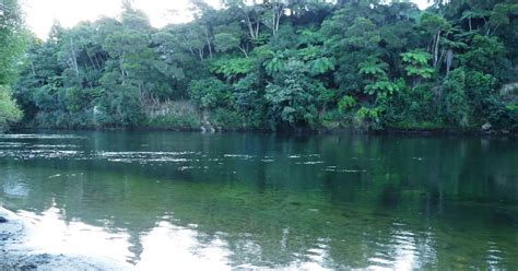 Gorgeous With Attitude Waikato Taniwha Rau The Mighty Waikato River
