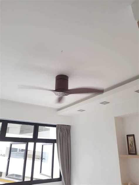 Short Blade Ceiling Fan Singapore Shelly Lighting