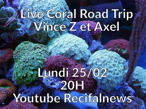 Live Coral Road Trip A Vos Questions R Cifal News