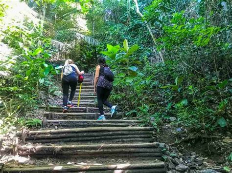 Trilha Morro da Urca o que você precisa saber antes de ir