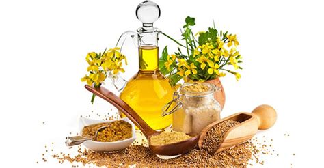 Горчичное масло для лица: применение в косметологии для кожи, как ...