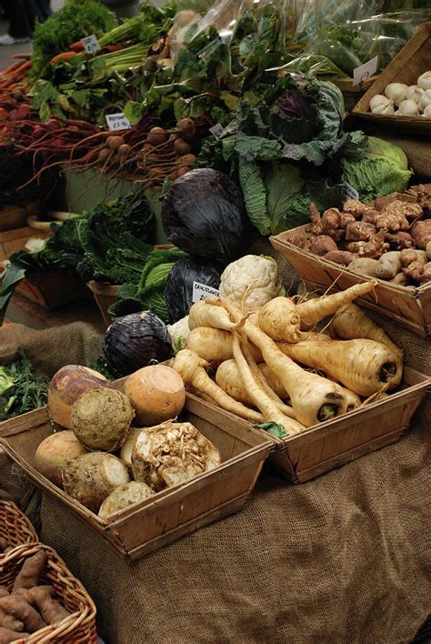 Winter Root Vegetables By Twing