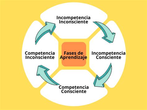 Cuáles son las fases de aprendizaje 4 Etapas de aprendizaje en PNL