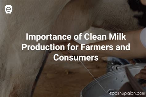 Importance Of Clean Milk Production For Farmers And Consumers Epashupalan