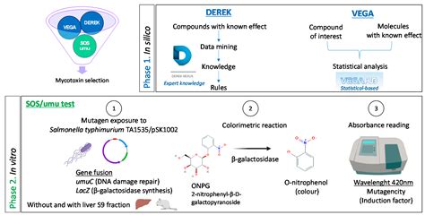 Toxins Free Full Text Prioritization Of Mycotoxins Based On Their