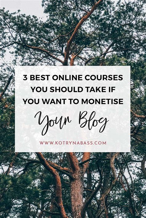 3 Best Online Courses You Should Take If You Want To Monetise Your Blog ...