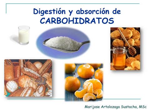 Pdf Digesti N Y Absorci N De Carbohidratos Blog To Capacidad