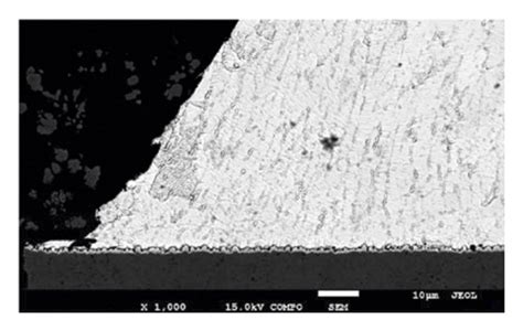 Microstructures Of Tested Soldered Joints Made By Reflow Soldering Of Download Scientific