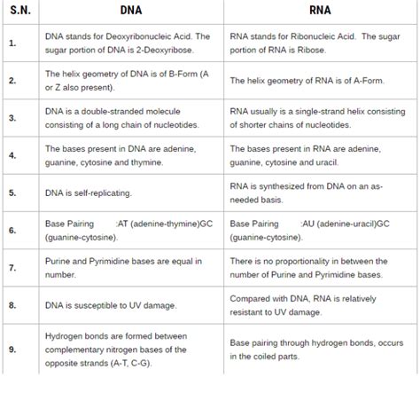 Differences Between Dna And Rna Faculty Of Medicine