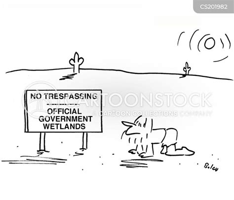 Wetland Cartoon