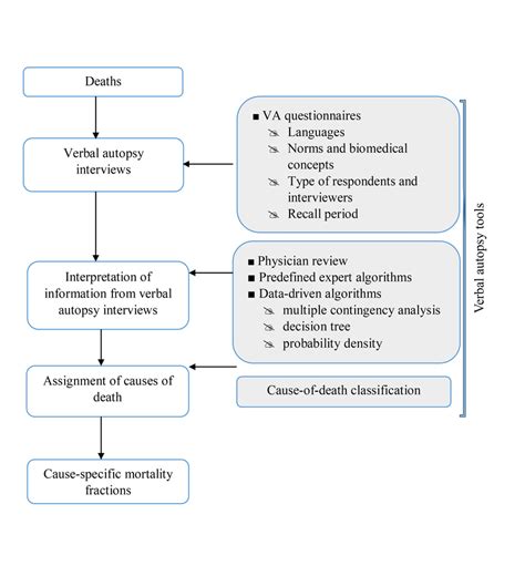 Flow Chart Of Verbal Autopsy Process And Va Tools Download Scientific