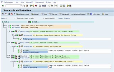 Sap Basis For Beginner Security Common Authorization Design