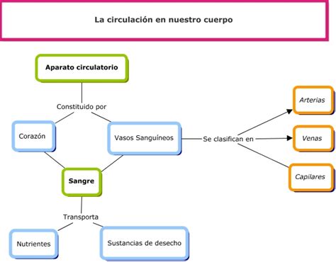 Cuadros Sinópticos Sobre Circulación Sanguínea Cuadro Comparativo