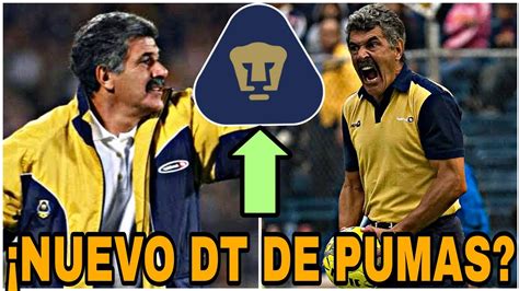 🔥tuca Ferretti Nuevo Dt De Pumas 2024 LlegarÍa A Pumas Refuerzos Pumas 2024 Youtube