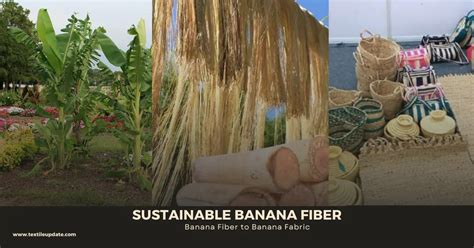 Sustainable Banana Fiber Banana Fiber To Banana Fabric Textile Update