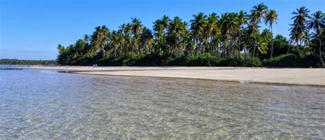 Praias Secretas Na Bahia Que Você Deveria Conhecer