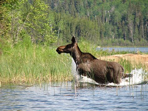 Pictures of Northern Saskatchewan