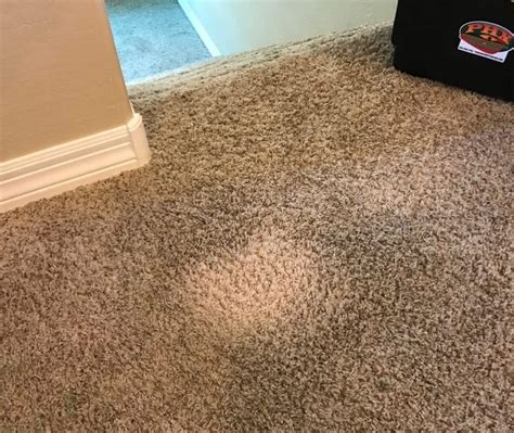 Bleach Carpet Stain Repair Instructions Resnooze