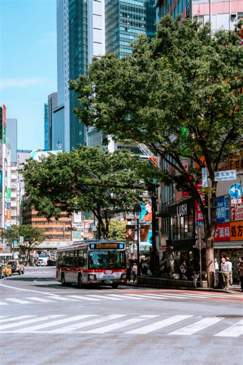 Wat Te Doen In Tokyo In Japan Toffe Tips Waar Te Verblijven